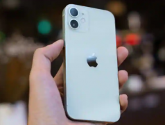 AppleĿ۵iPhoneԭͨڲԲ