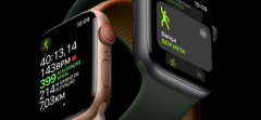 Ŀǰг1ӵApple Watch