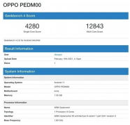 йOPPO Find X3ϸع
