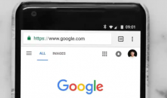 Google ChromeĬ»HTTPSվ